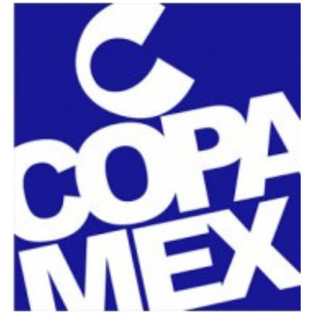 Papel Facia Pastel Carta Mix De 10 Colores 75 Gr