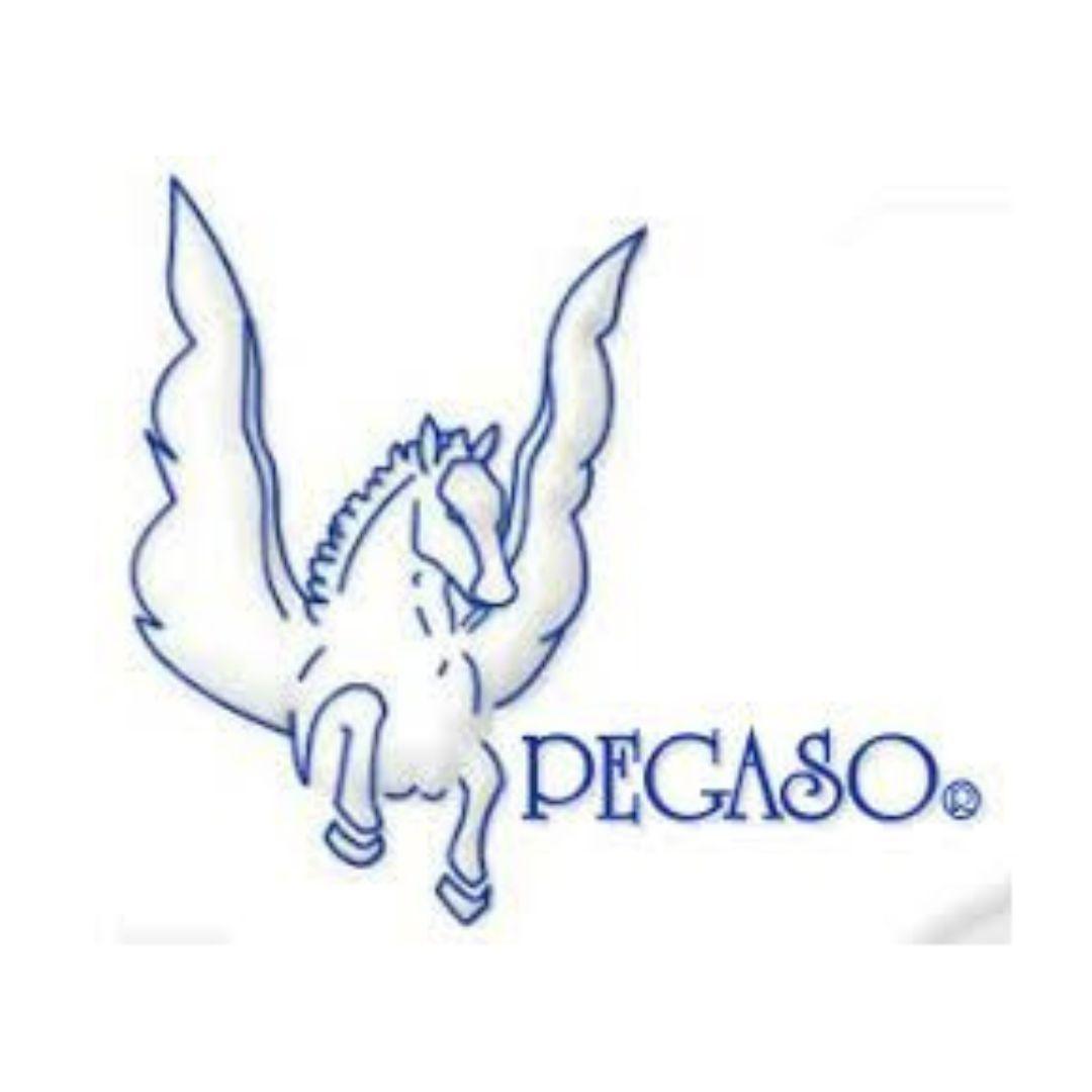 Despachador Metalico Para Cinta Grande Pegaso 2000 - Colmenero Shop
