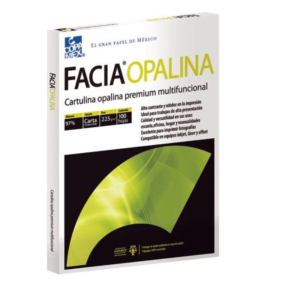 Cartulina Opalina Facia Blanca Carta 225 Gr - Colmenero Shop