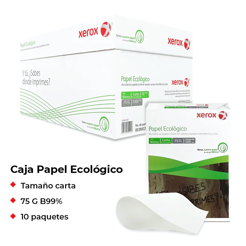 Papel Bond Ecológico Xerox Carta 75g Caja con 5000 Hojas | Colmenero Shop
